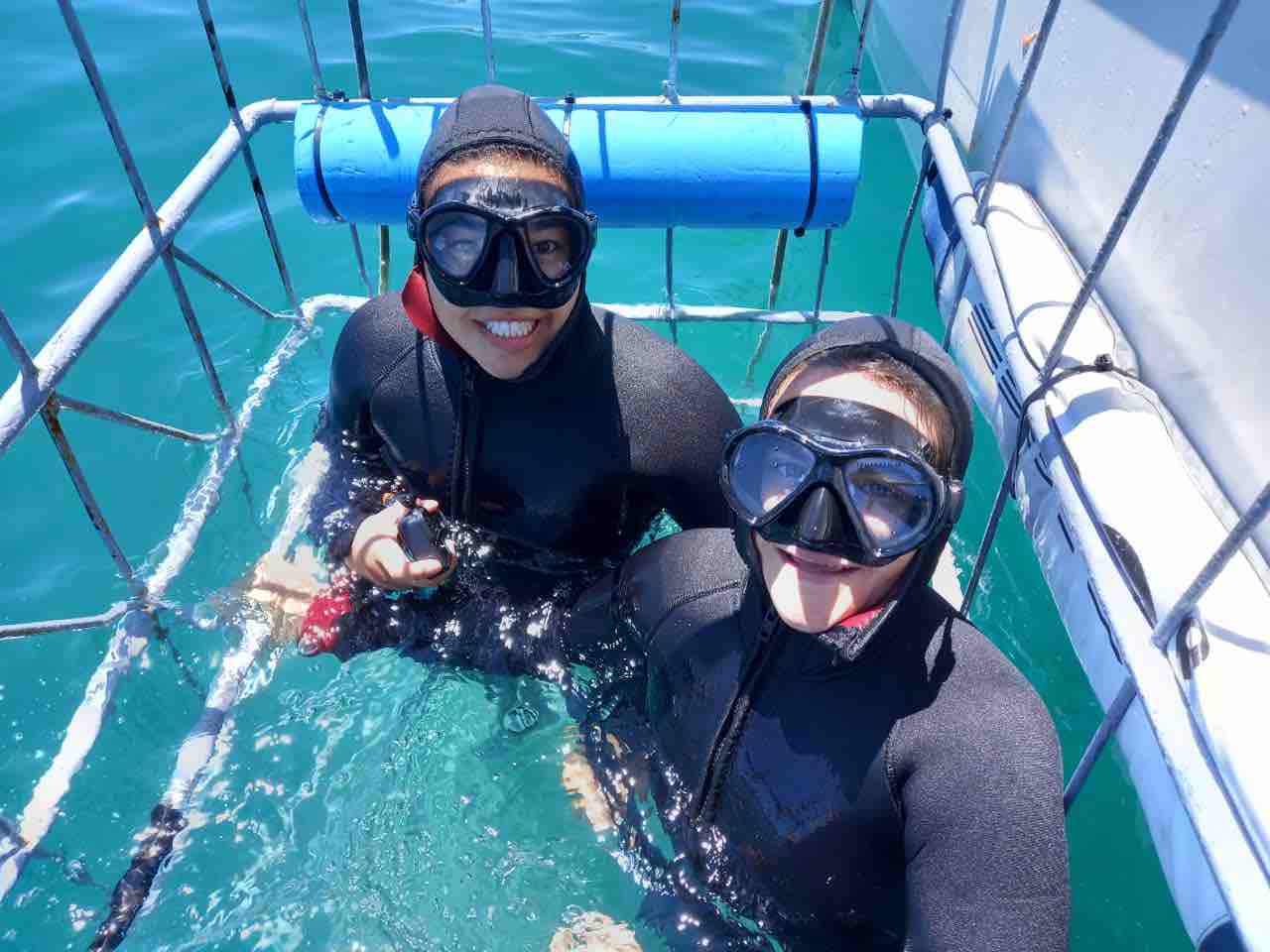 female divers smiling in shark cage