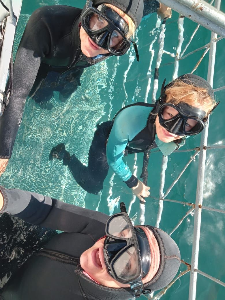 WhatsApp Image 2022 12 22 at 16.12.09