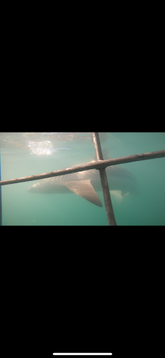 Photo from customer review