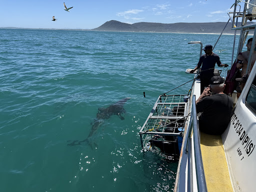 Photo from customer review