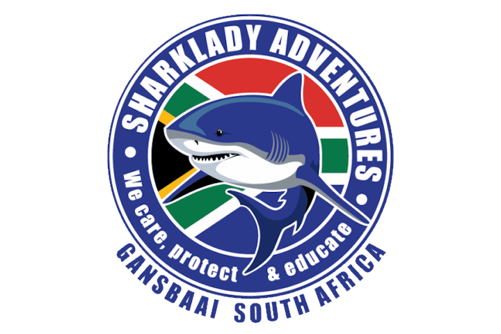 The Ultimate Guide to Marine Adventures in the Western Cape