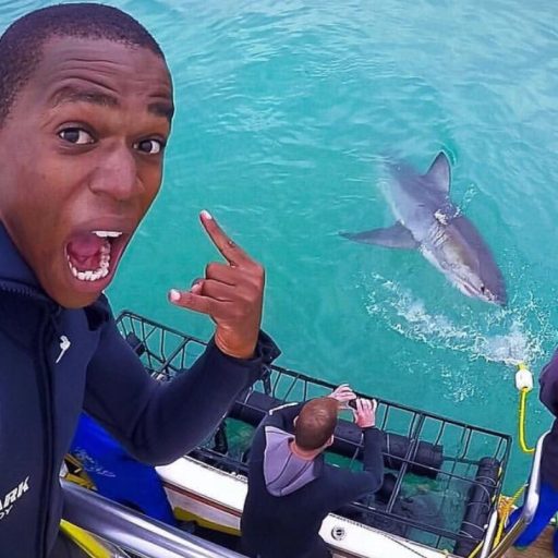 excited young south african shark cage diving
